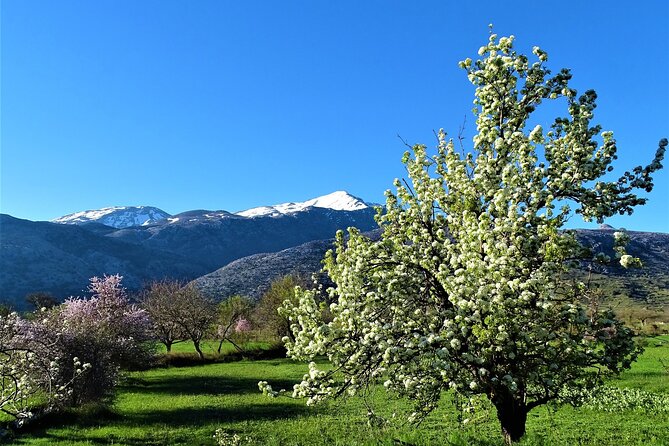 Private Guided Tour to Lasithi Plateau Villages & Wine Tasting - Cancellation and Flexibility