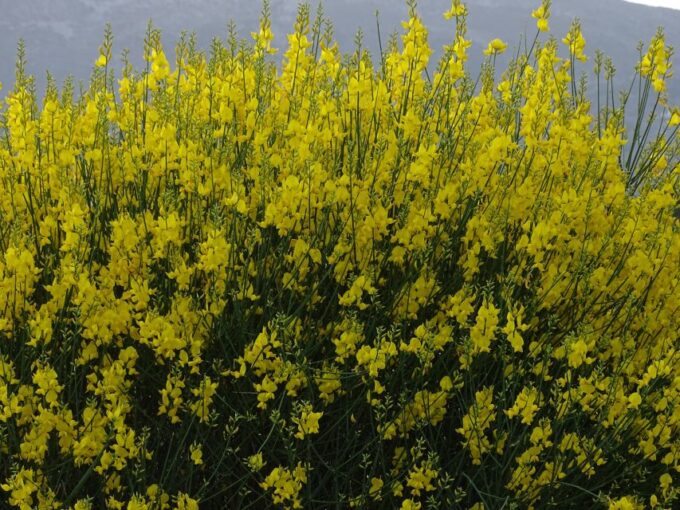 Private Guided Tour to Lasithi Plateau Villages & Zeus Cave - Frequently Asked Questions