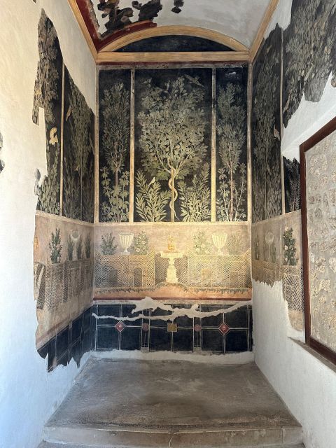 Private Guided Tour to Pompeii Excavations - Inclusions and Pricing