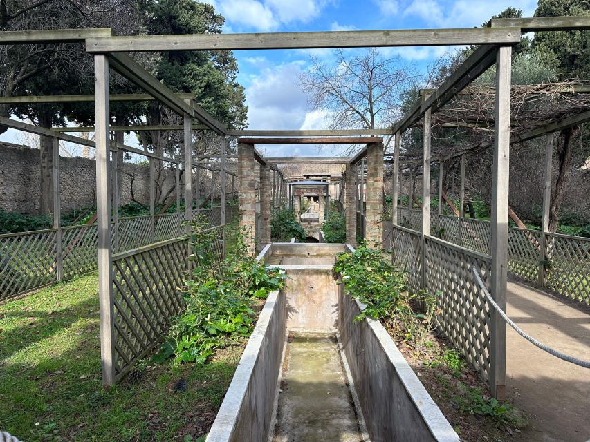 Private Guided Tour to Pompeii Excavations - Accessibility and Recommendations
