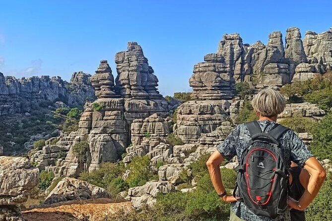 Private Guided Tour to Torcal de Antequera - Real Traveler Insights