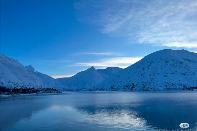 Private Guided Tour Whittier Cruise pick up - Practical Details: Transportation, Timing, and Group Size