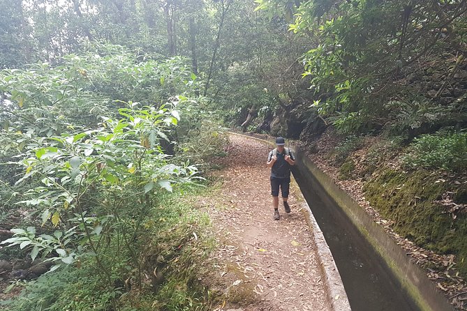 Private Guided Walk Levada Monte to Palheiro Ferreiro - Activity Level and Difficulty