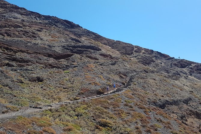 Private Guided Walk Ponta São Lourenço - Cancellation Policy and Pricing Details
