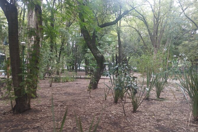 Private guided walking tour in La Condesa neighborhood with transportation - Final Thoughts