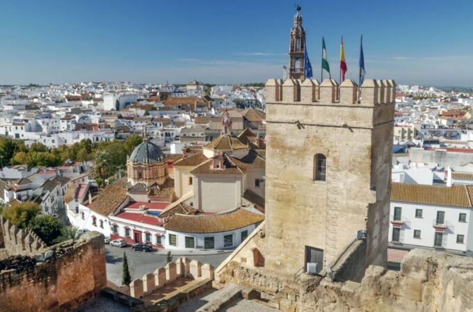 Private Guided Walking Tour in Seville (1h Tapas Tour) - Languages Offered