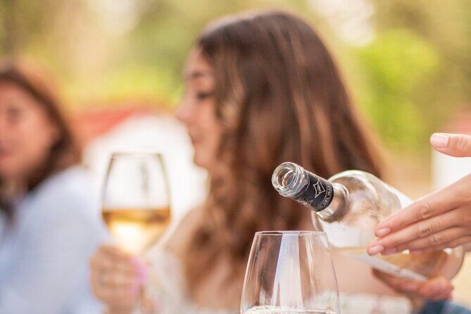 Private Guided Wine Tasting with Tour of the Vineyards in Vieste - Introduction