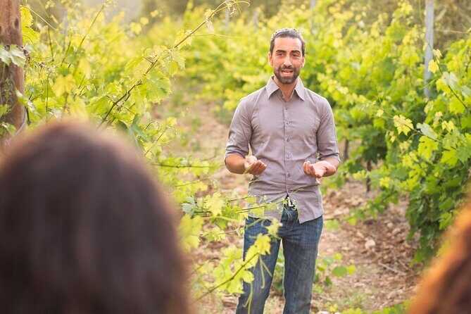 Private Guided Wine Tasting with Tour of the Vineyards in Vieste - Key Points