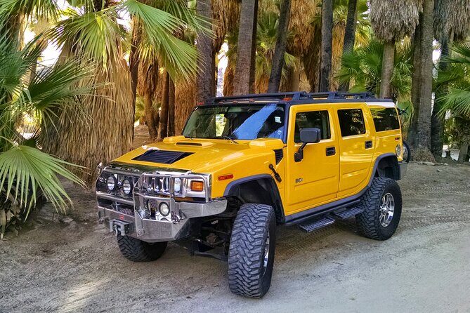 Private H2 Hummer for up to 6 in Joshua Tree National Park - Who Will Love This Tour?