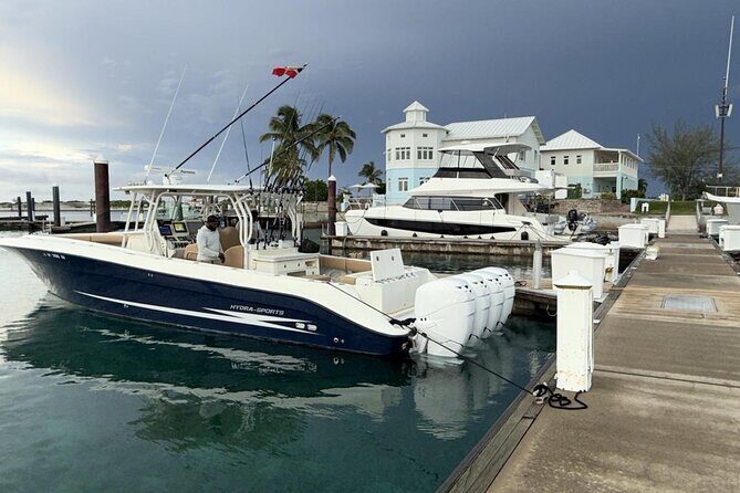 Private Half Day Afternoon Deep Sea Fishing on Reel Buoys - Key Points
