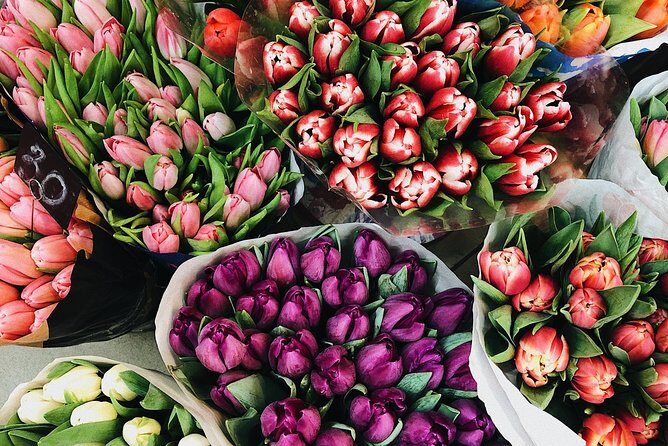 Private Half-Day Amsterdam Market Tour by Bike - Key Points