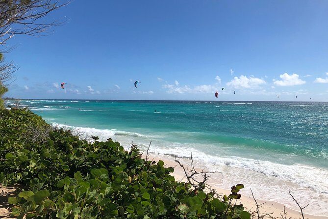 Private Half-Day Barbados Excursion - Introduction: The Practical Charm of a Private Barbados Tour