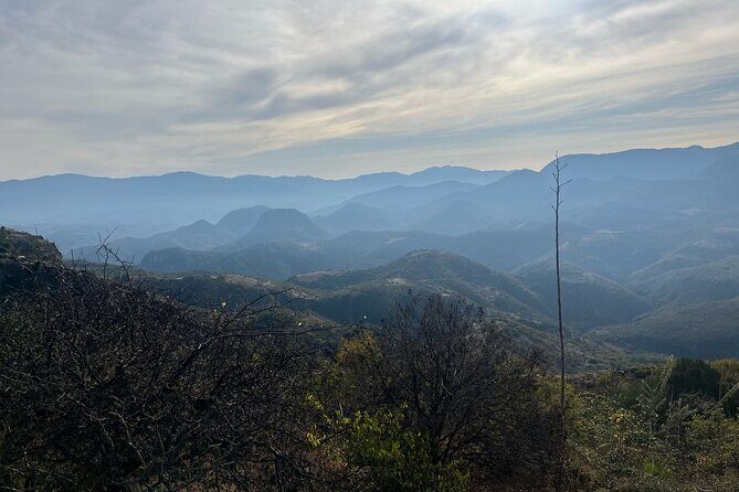 Private Half Day Bird Watching Experience - Why This Tour is Worth Considering