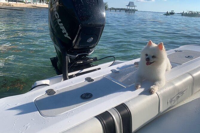 Private Half Day Boat Tour, 3 locations of your choice - Authentic Encounters and Crowd Avoidance