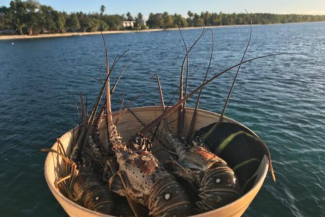 Private Half-Day Catamaran Cruise, Turks and Caicos Islands - The Price and Overall Value