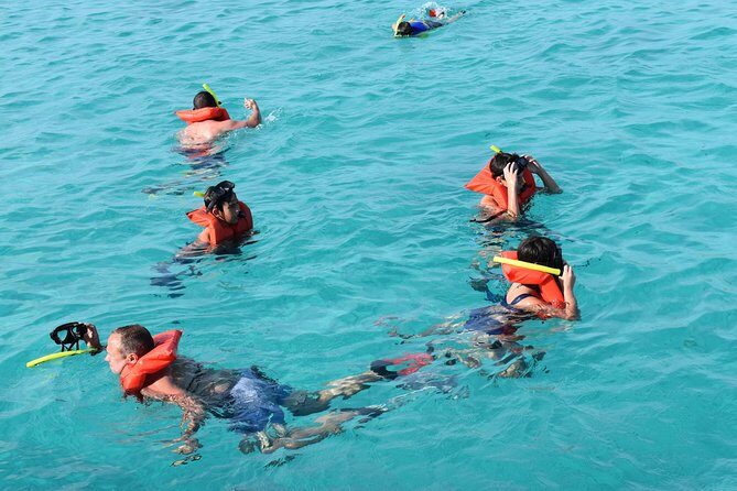 Private Half Day Charter - The View from the Deck: Why This Tour Excels