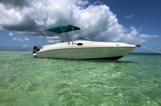 Private Half-Day Charter to Stingray City, Starfish Point and Snorkeling Tour - Practical Tips for Booking and Enjoyment