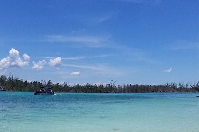 Private Half-Day Charter Tour in Naples, Florida - Meeting and Pickup Details