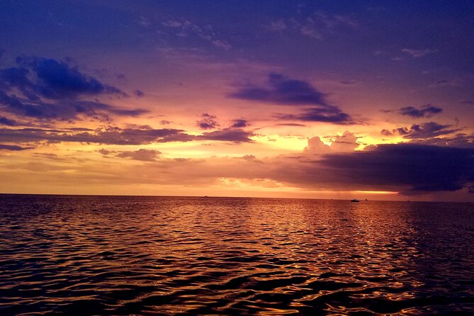 Private Half-Day Charter Tour in Naples, Florida - Booking Process