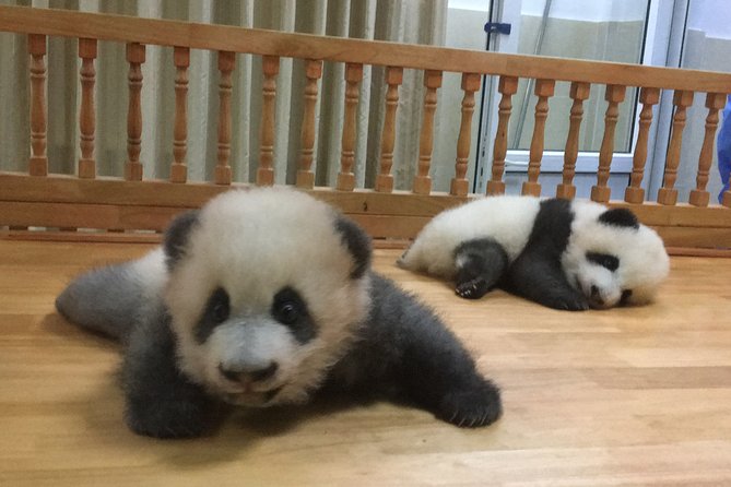 Private Half-Day Chengdu Panda Breeding Center Tour With Optional Volunteer - Inclusions in the Package