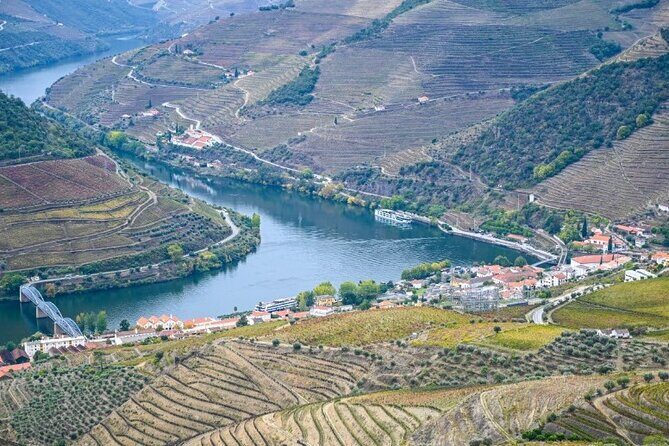 Private Half-Day Douro Tour - Final Thoughts