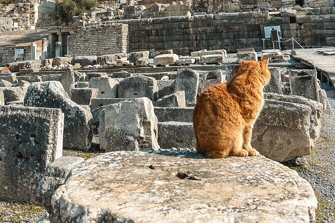 Private Half Day Ephesus Shore Excursion from Kusadasi - What Makes This Tour Stand Out?