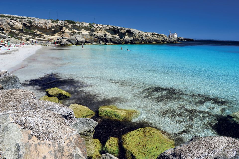 Private Half Day Favignana - Pricing Details