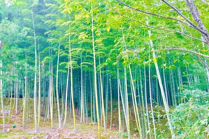 Private Half-Day Guided Tour in Arashiyama, Kyoto - Key Points