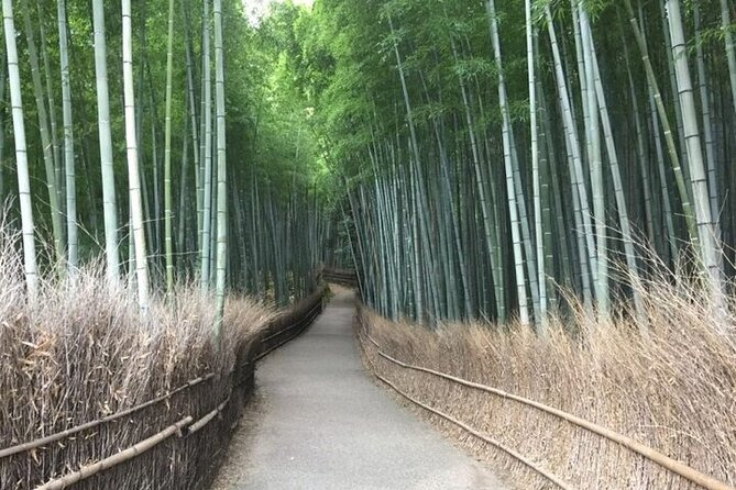 Private Half-Day Guided Tour in Arashiyama, Kyoto - Meeting and Pickup