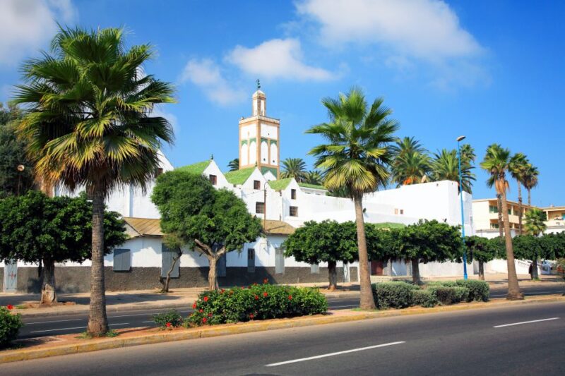 Private Half-Day Guided Tour of Casablanca - Transportation and Guide Services