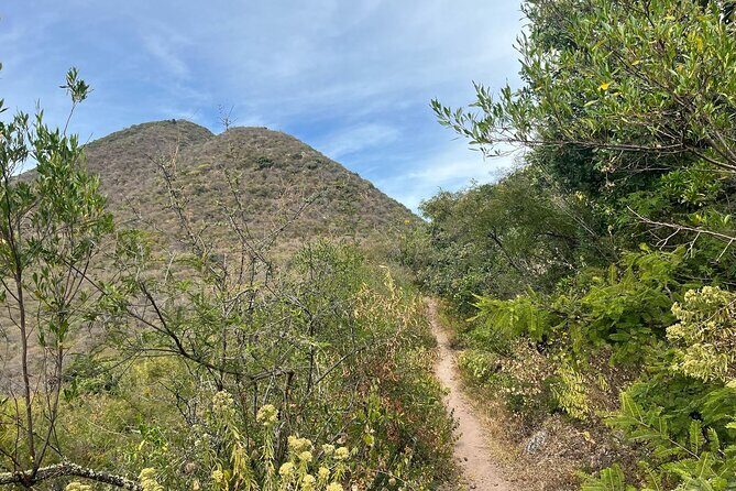 Private Half Day Hiking Experience in Picacho - A Closer Look at the Itinerary and What to Expect