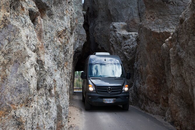 Private Half Day Mt Rushmore & Black Hills Tour - Traveler Reviews