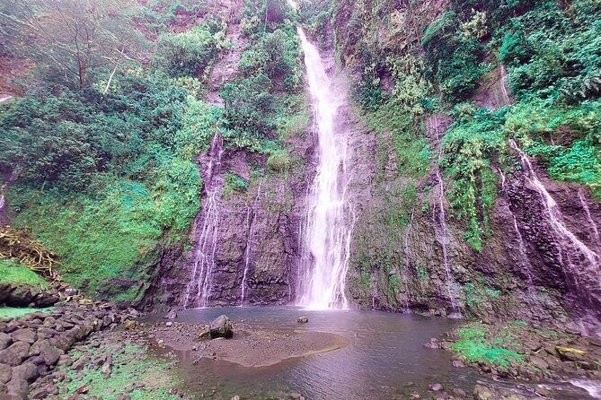 Private Half-Day  Papeete City & East Coast Nature - What the Reviews Say