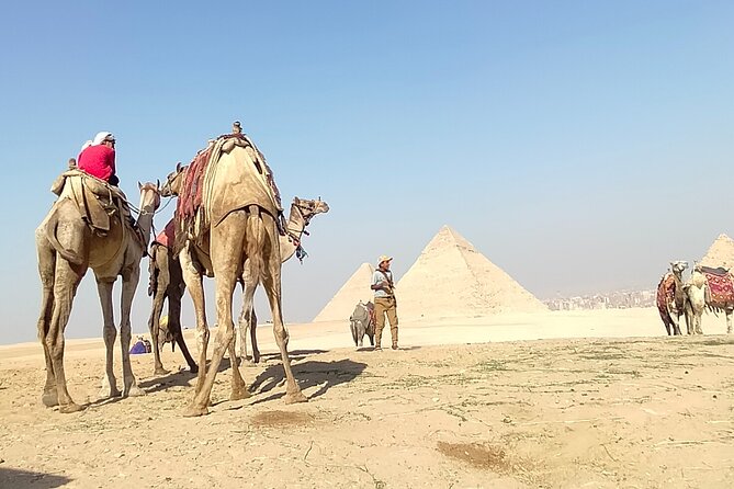 Private Half Day Pyramid Tour in Cairo - Exploring the Giza Pyramids