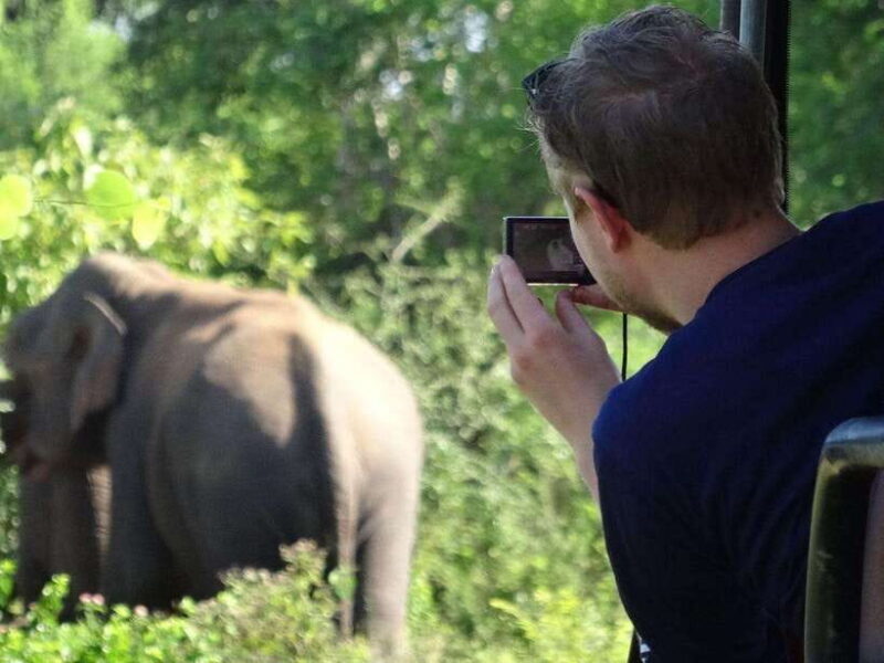 Private Half-Day Safari at Yala National Park - The Scenic Landscape and Wildlife Encounters