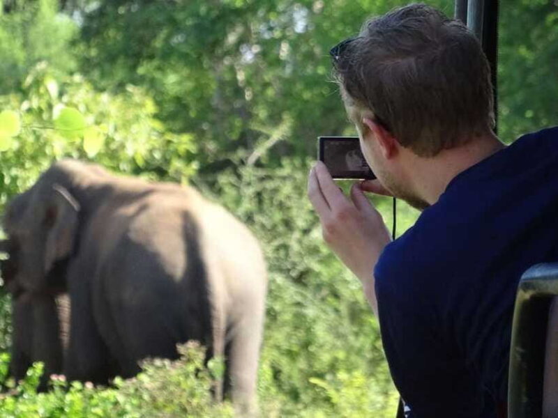 Private Half-Day Safari at Yala National Park - The Real Experience: Authentic Encounters and Practical Insights