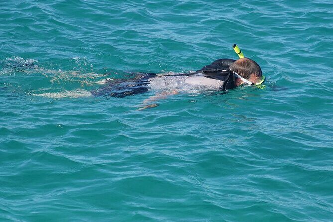 Private Half-Day Sailing and Snorkeling Tour - Authentic Experiences: What Past Guests Say