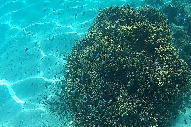 Private Half Day Sailing Excursion on the Lagoon of Tahiti - Wrapping Up