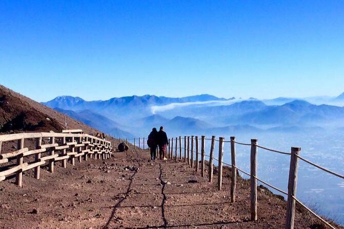 Private Half-Day Sightseeing Tour of Vesuvius National Park - Considerations for Infants and Accessibility