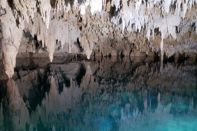 Private Half Day Swim with Turtles and Cenote - FAQs