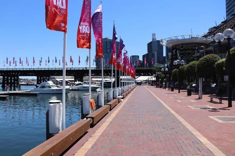 Private Half Day Sydney City Tour - The Sum Up: The Value of a Private Sydney Snapshot