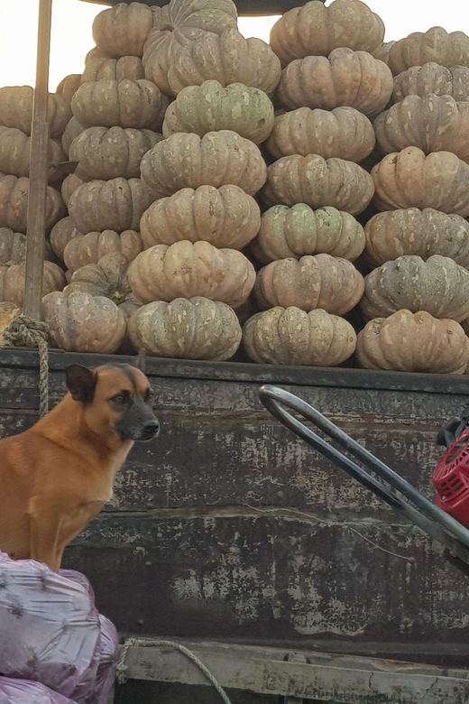 Private Half Day Tour - Cái Răng Floating Market - Sampan Boat Ride Through Hau River