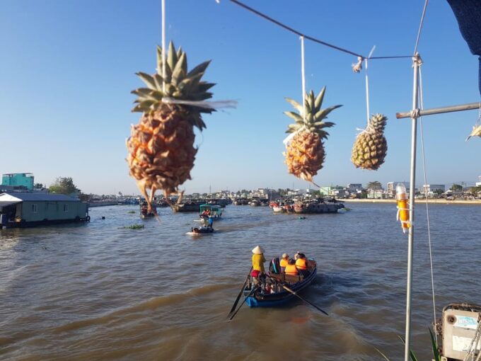 Private Half Day Tour - Cai Rang Floating Market - Tour Duration and Price