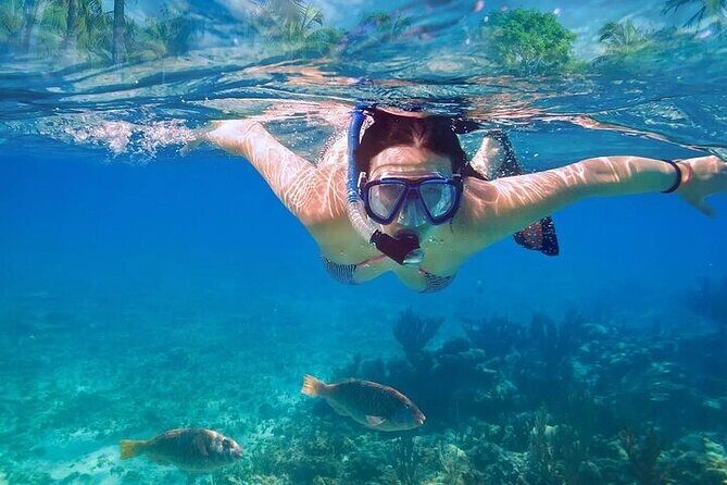 Private Half Day Tour in Cenote Cave and Swimming with Turtles - Practical Tips for Travelers