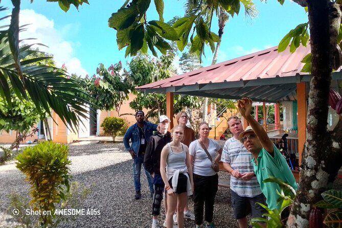 Private Half Day Tour in Dominican Republic with Local Guide - The Value of This Tour
