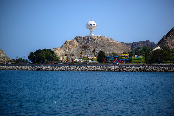Private Half-day Tour in Muscat - Reviews and Traveler Feedback