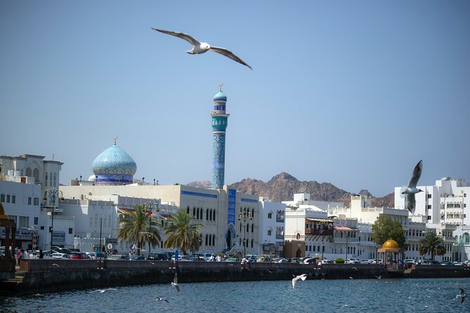 Private Half-day Tour in Muscat - Tour Highlights and Itinerary
