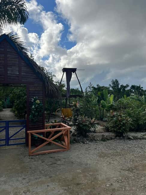 Private Half Day Tour in Punta Cana-Higüey with Local Guide - Practical Considerations