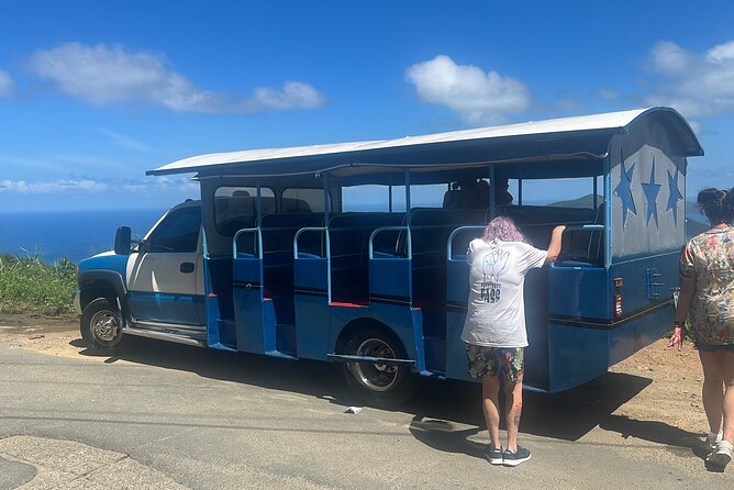 Private Half Day Tour in St. Thomas Virgin Islands With Guide - Accessibility Features