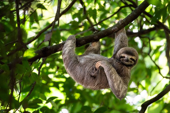 Private Half Day Tour Mombacho Cloud Forest From Granada - Reviews and Ratings